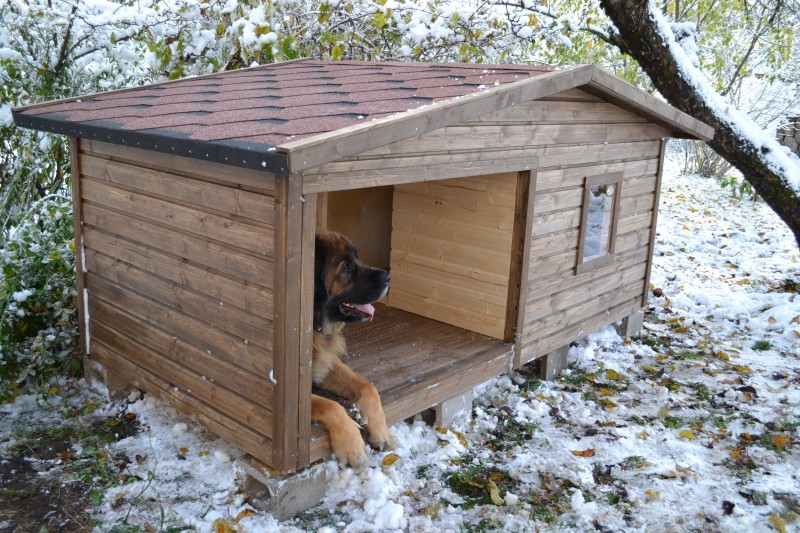 Утепленная будка для собаки своими руками